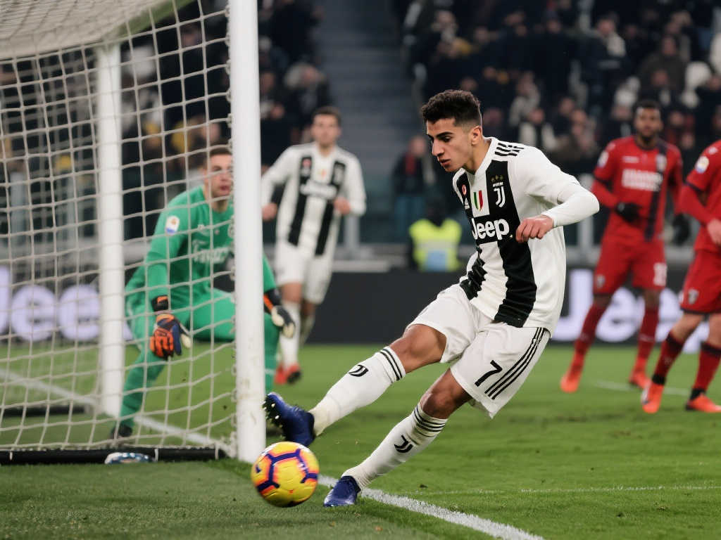 他的职业生 他的职业生